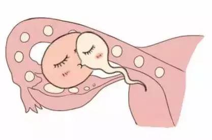 代生供卵公司生殖医学中心